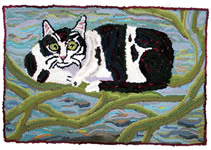 Black and white cat in a tree