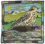 Mistle Thrush