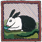 Black and white rabbit