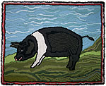 Saddleback Pig